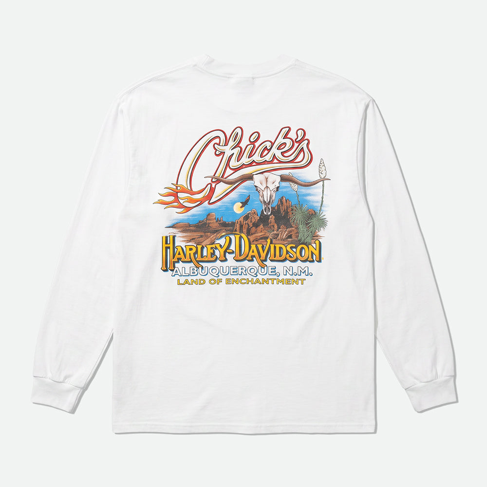 Harley Davidson chicks LS