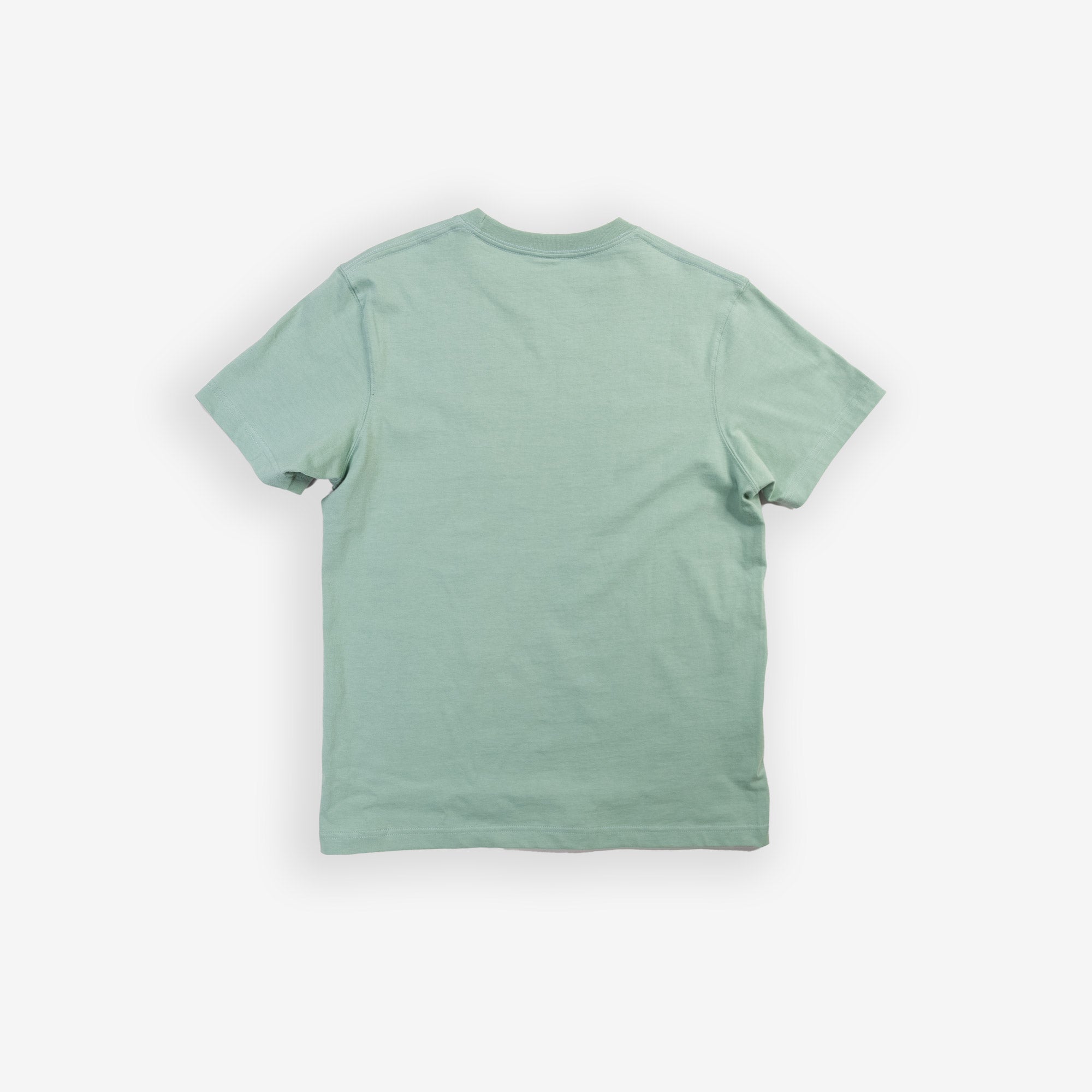 Mint Winter Tee, back view, plain green t-shirt.