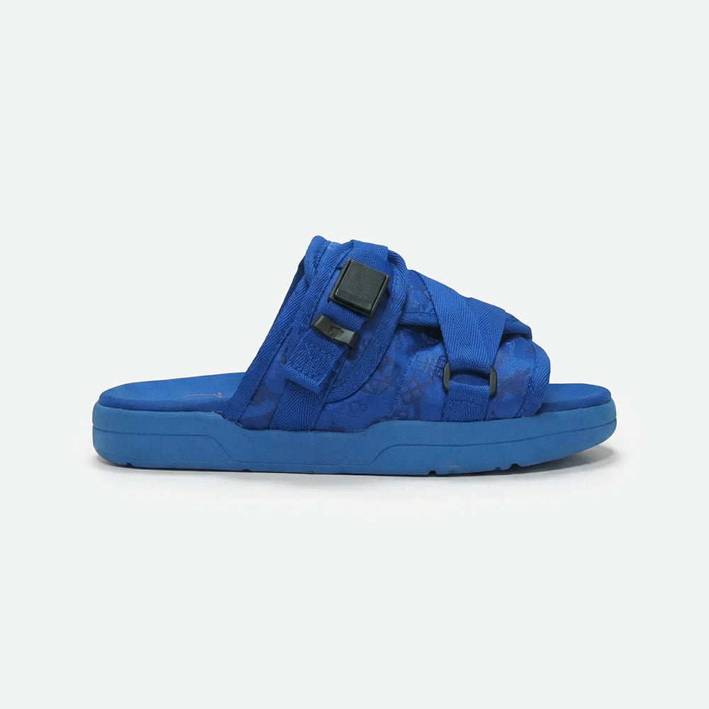 Cobalt Blue Slides